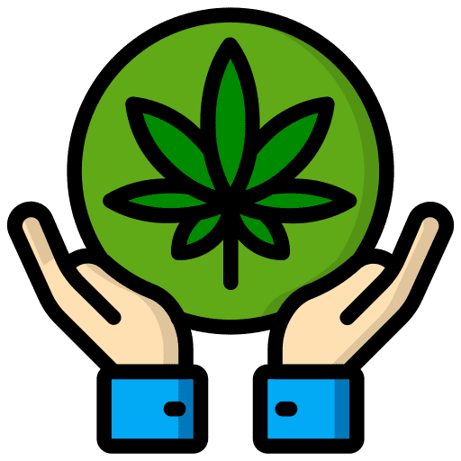 Cannabis Marketing Solutions Top Digital Marketing Company